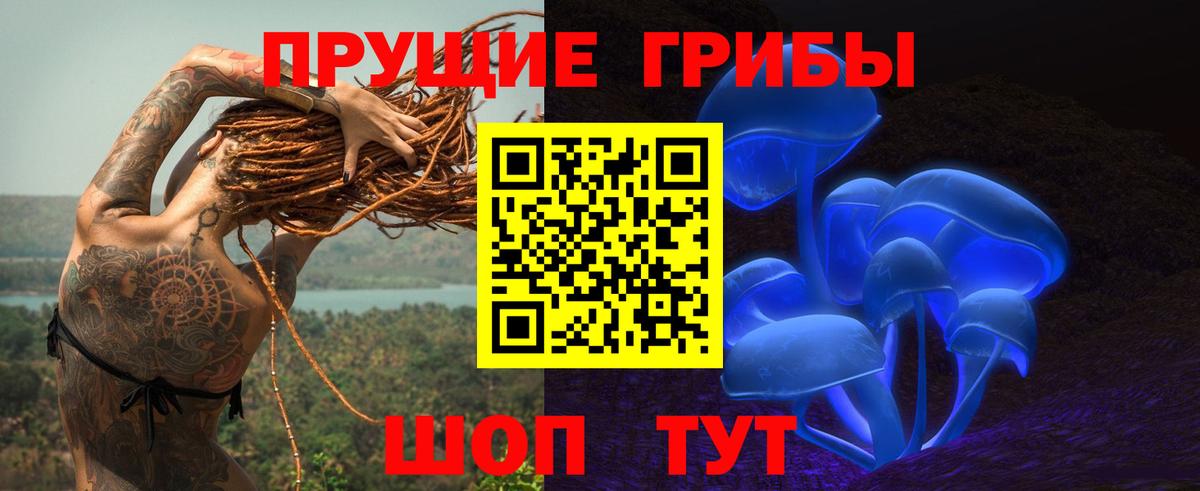 Галлюциногенные грибы Psilocybe  Вход с VPN  Псилоцибиновые грибы ЛСД  наркотики  Гурьевск 