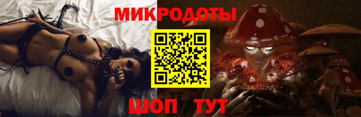 Псилоцибиновые грибы Psilocybe Гурьевск